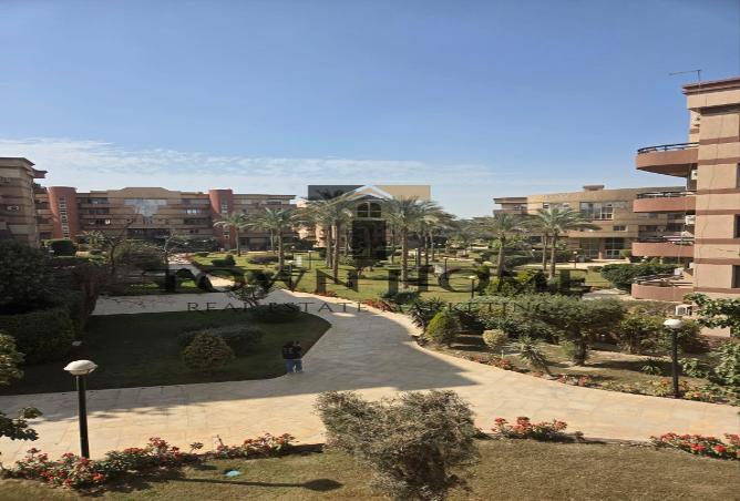 55006106 - Property Image 3