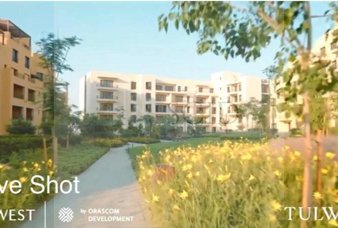 56000571 - صورة العقار 3