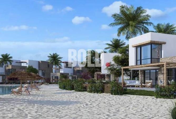 90187248 - Property Image 3