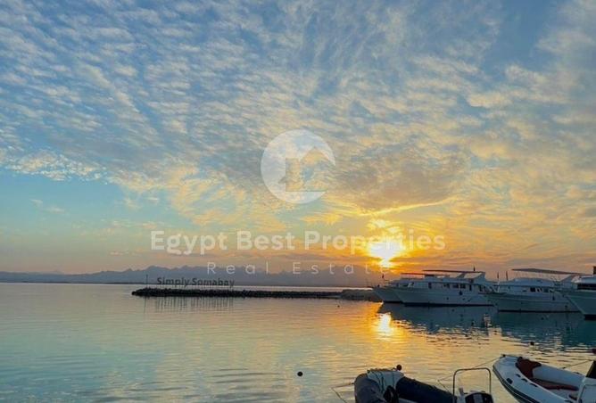 67736261 - صورة العقار 2