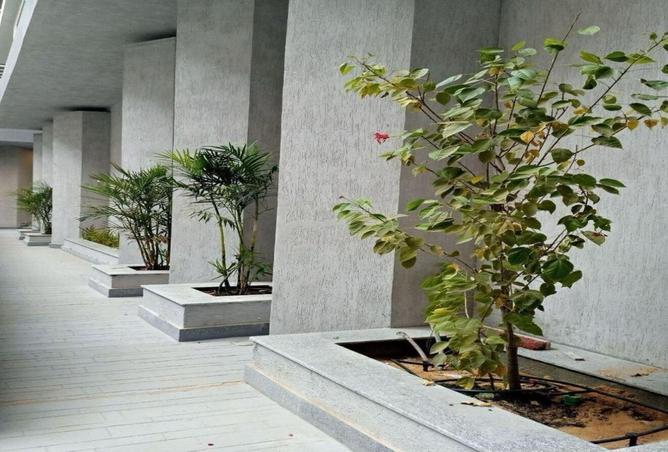 80790002 - صورة العقار 2