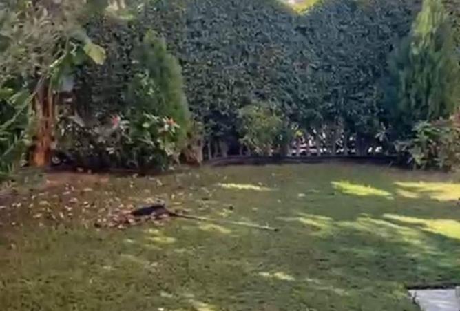 55005651 - صورة العقار 3