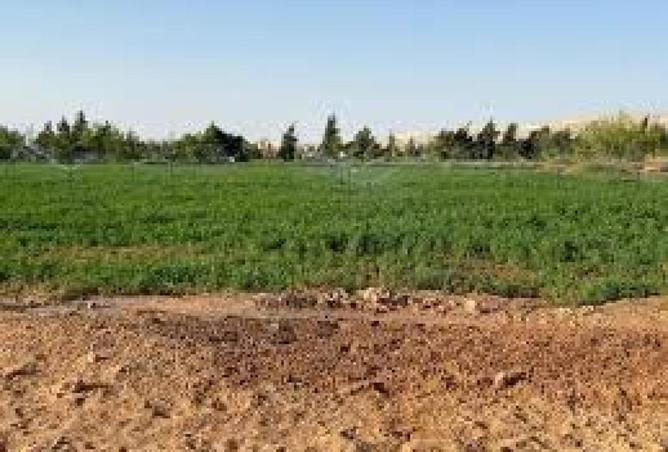 59240485 - صورة العقار 2