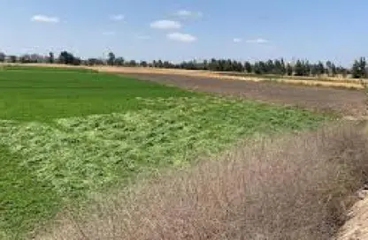 قطعة أرض - استوديو للبيع في كفر الشيخ - كفر الشيخ