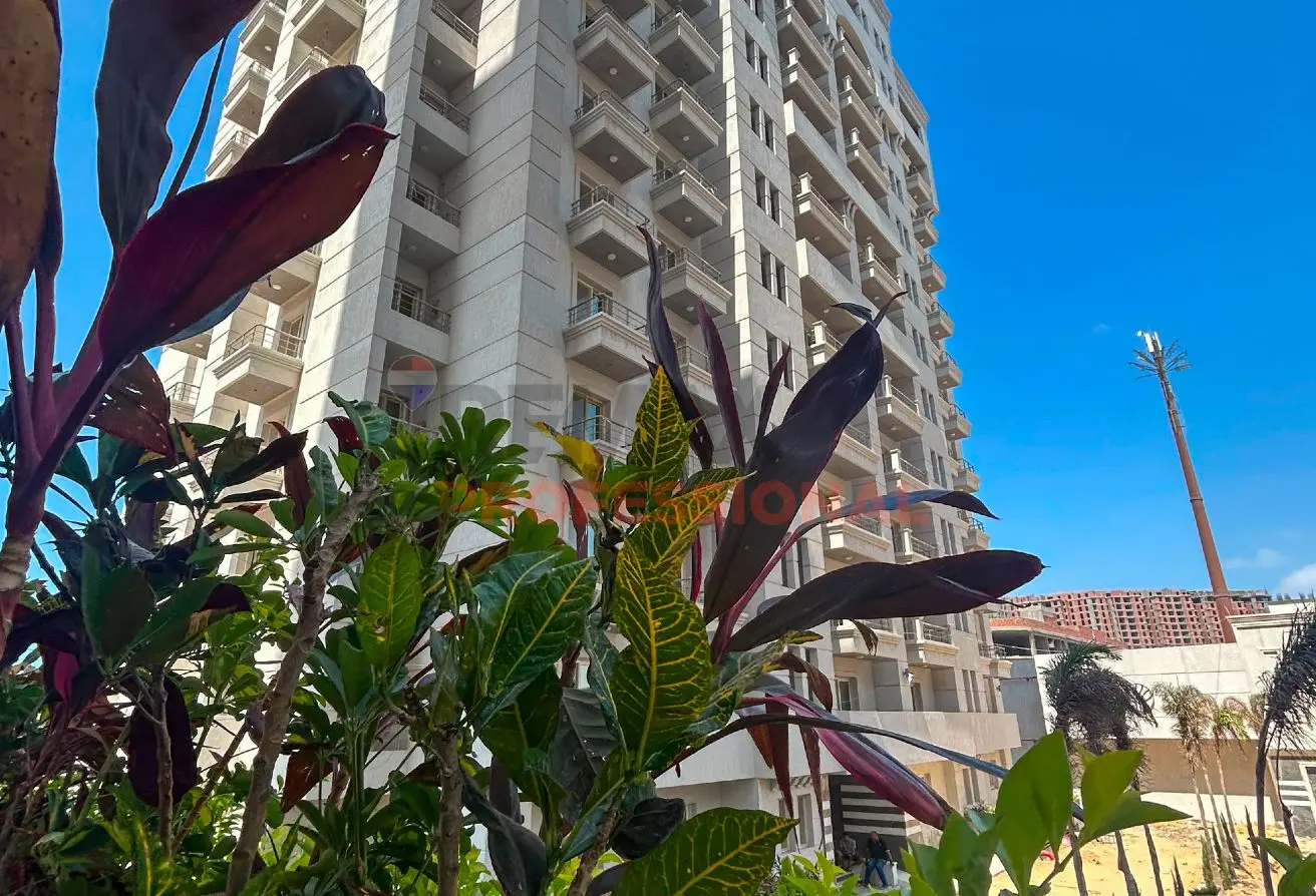 70360483 - Property Main Image