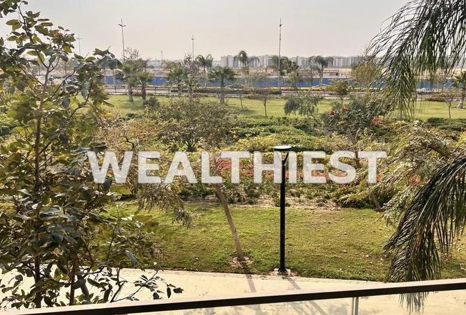 53987025 - صورة العقار 3