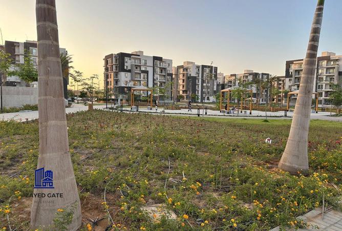 65148243 - صورة العقار 3