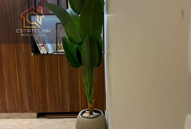 53730507 - Property Image 3