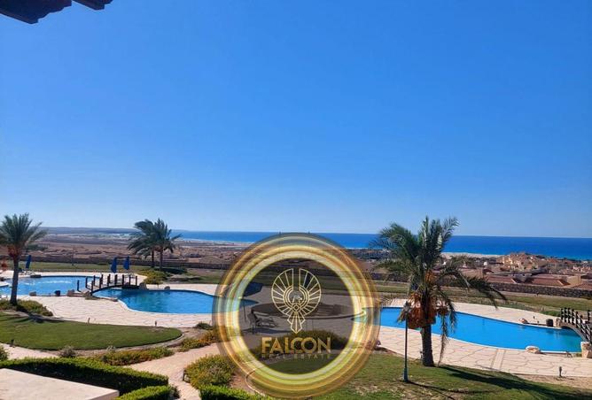 53466804 - Property Image 2