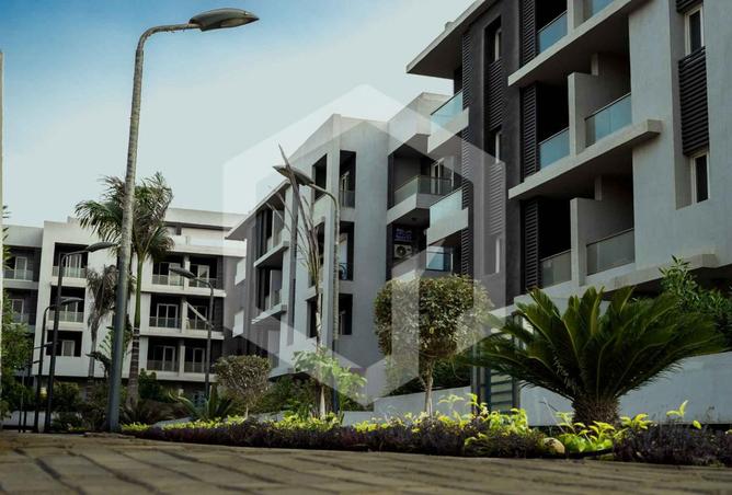73240109 - Property Image 3