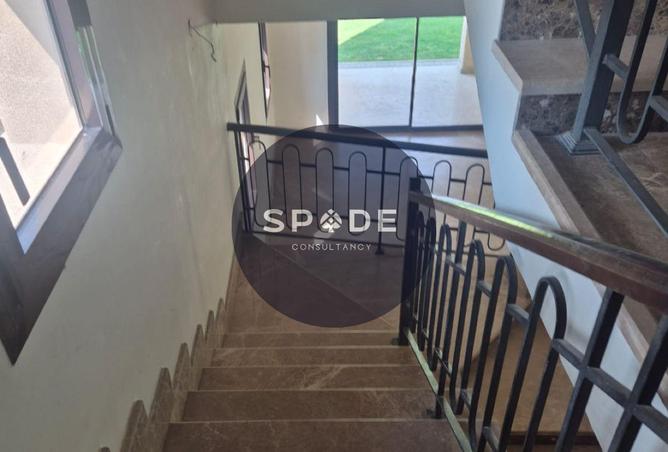 99107218 - Property Image 3