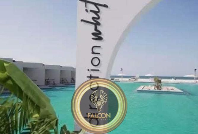 88400329 - صورة العقار 3