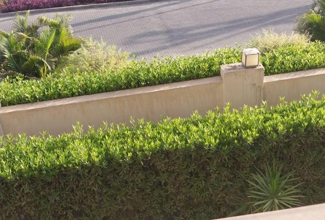 83676109 - صورة العقار 3