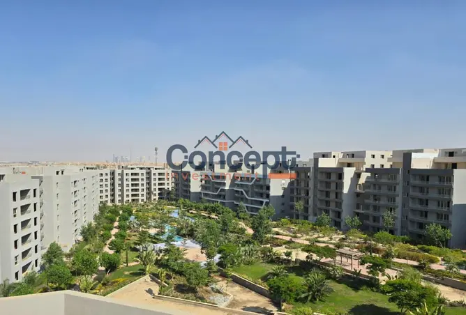 113263524 - صورة العقار 3
