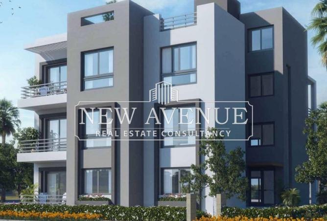 64637087 - Property Image 3