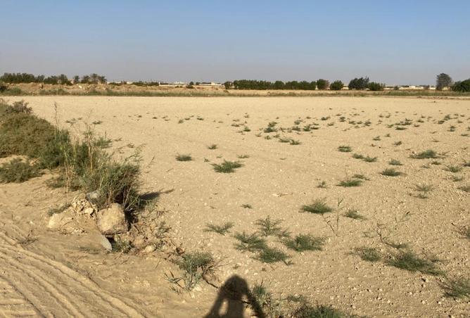 100649355 - صورة العقار 2