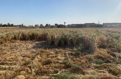 قطعة أرض - استوديو للبيع في مدينة الفيوم - الفيوم قطعة أرض - استوديو للبيع في مدينة الفيوم - الفيوم