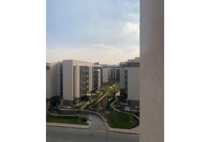 8703505 - صورة العقار 2