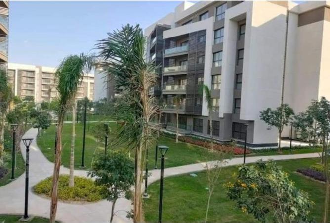 8703505 - صورة العقار 3