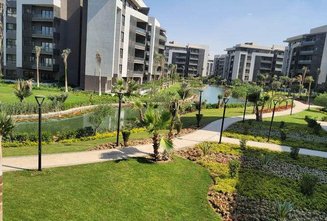 8706223 - صورة العقار 2