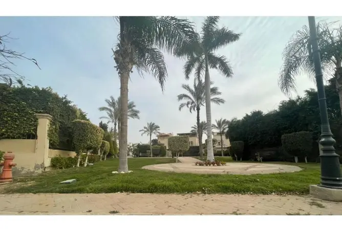 110739489 - Property Image 3