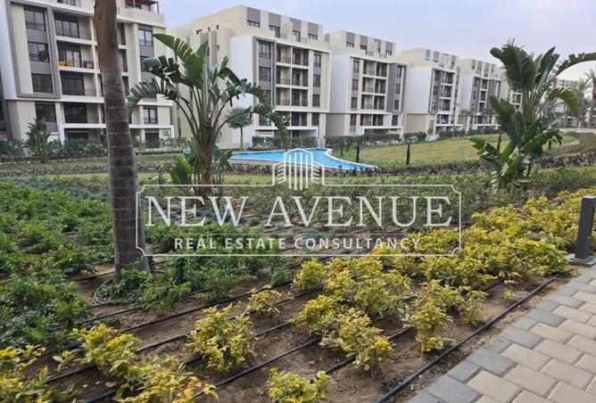 61204701 - صورة العقار 2