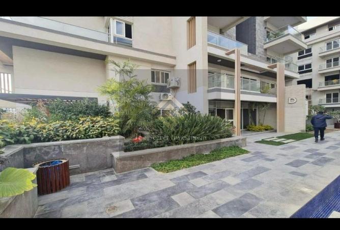 81311634 - Property Image 3