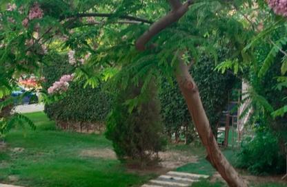 Apartment - 2 Bedrooms - 1 Bathroom for sale in B2 - Madinaty - Cairo Apartment - 2 Bedrooms - 1 Bathroom for sale in B2 - Madinaty - Cairo