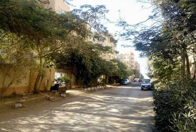 95486805 - صورة العقار 3