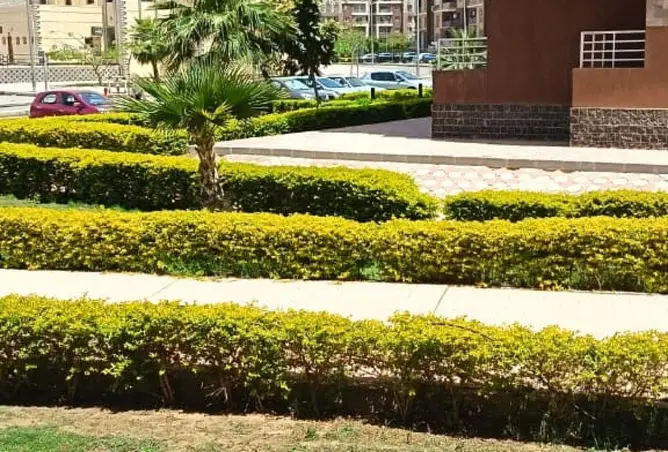73774997 - صورة العقار 3