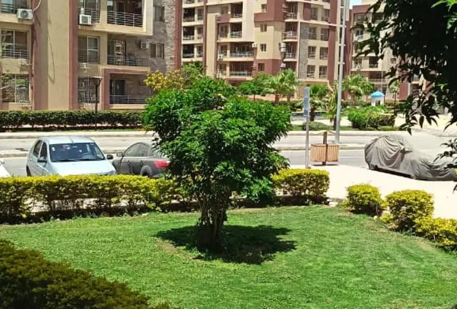 73774997 - صورة العقار 2