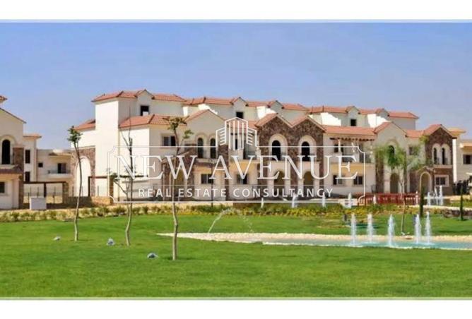 54496959 - صورة العقار 2