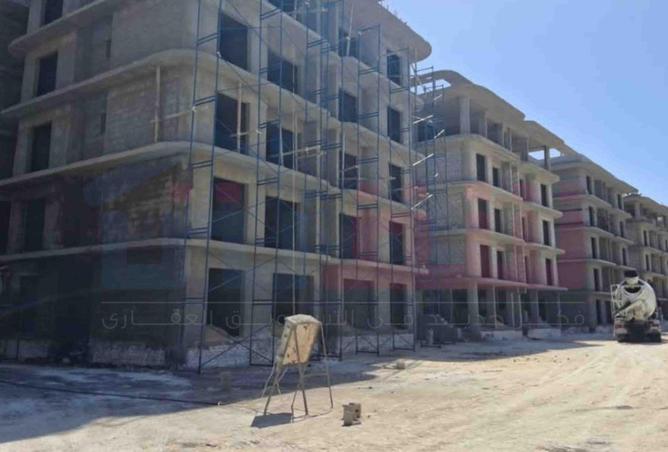 58985475 - Property Image 3