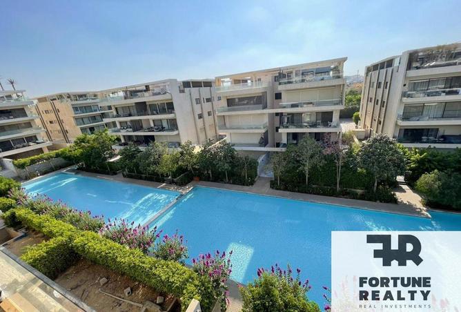 54492921 - Property Main Image