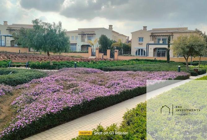 81303553 - Property Main Image