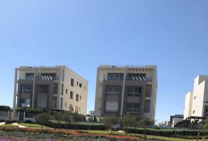 52453408 - صورة العقار 3