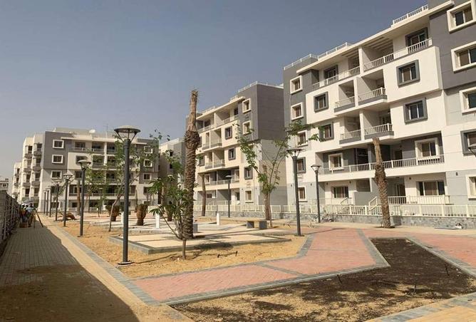 58246202 - صورة العقار 2