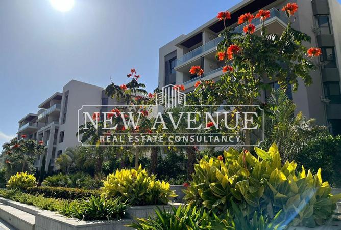 64646517 - الصورة الرئيسية للعقار