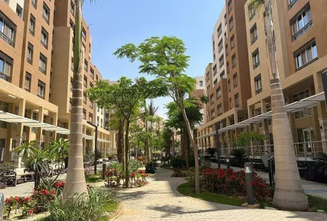 110462769 - Property Image 3