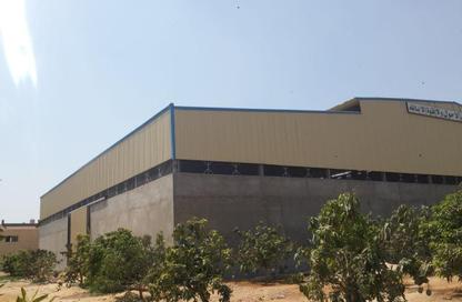 Warehouse - Studio - 2 Bathrooms for rent in Street 3 - Industrial Zone - Obour City - Qalyubia