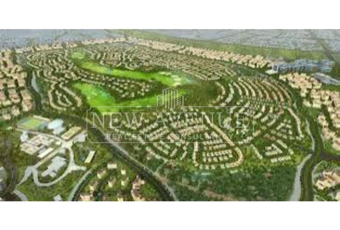 105725428 - Property Image 2