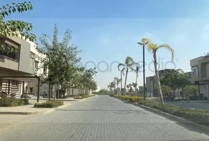 77598910 - Property Image 3