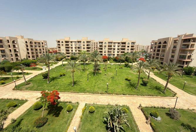 80785544 - Property Main Image