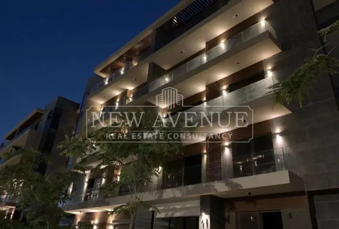113545856 - Property Image 2