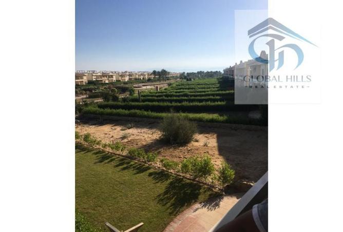 105454288 - Property Image 3