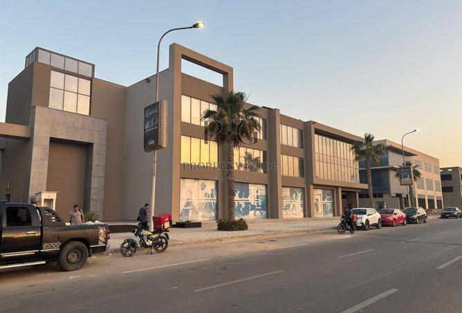 100562397 - صورة العقار 3