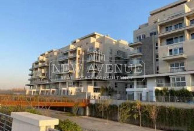 98281111 - Property Image 3