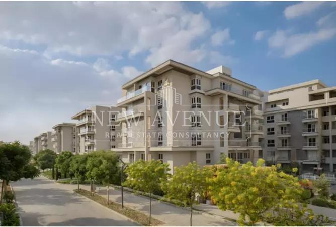 98281111 - Property Main Image