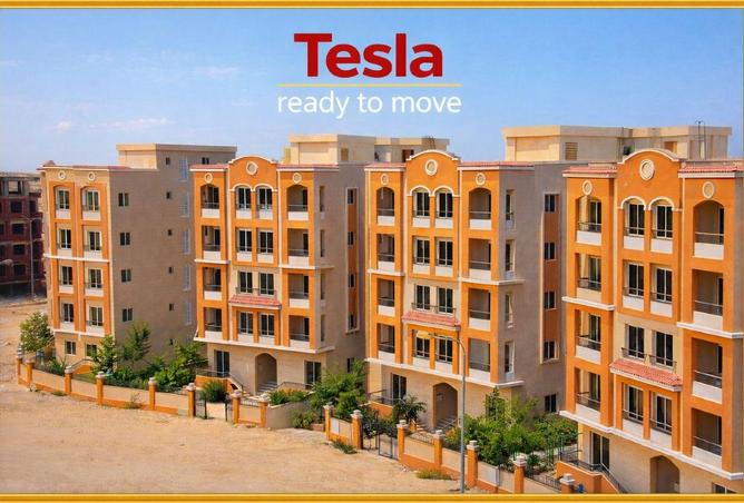 52449119 - Property Image 3