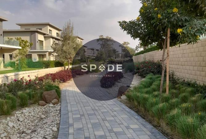 58256946 - Property Image 3